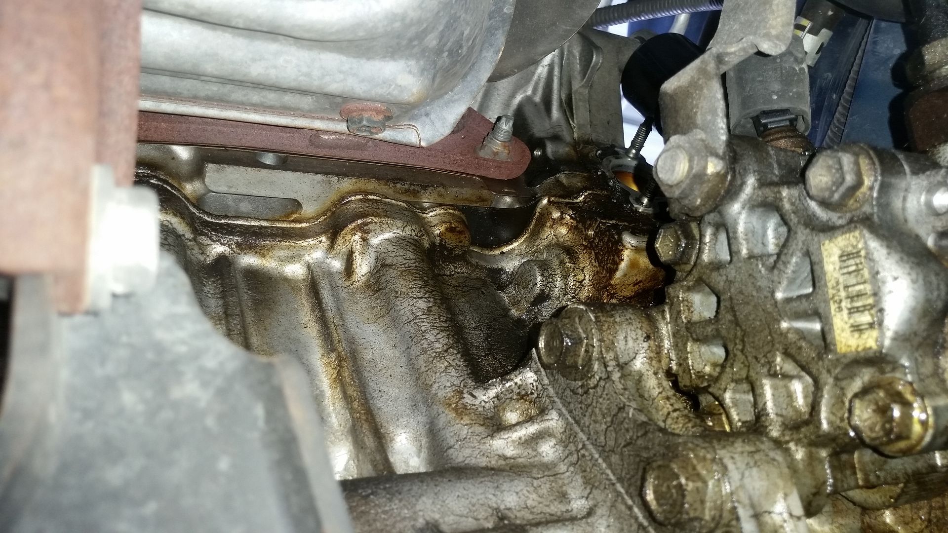DIY 20032008 Corolla, Matrix, Pontiac Vibe 1ZZFE Timing Chain